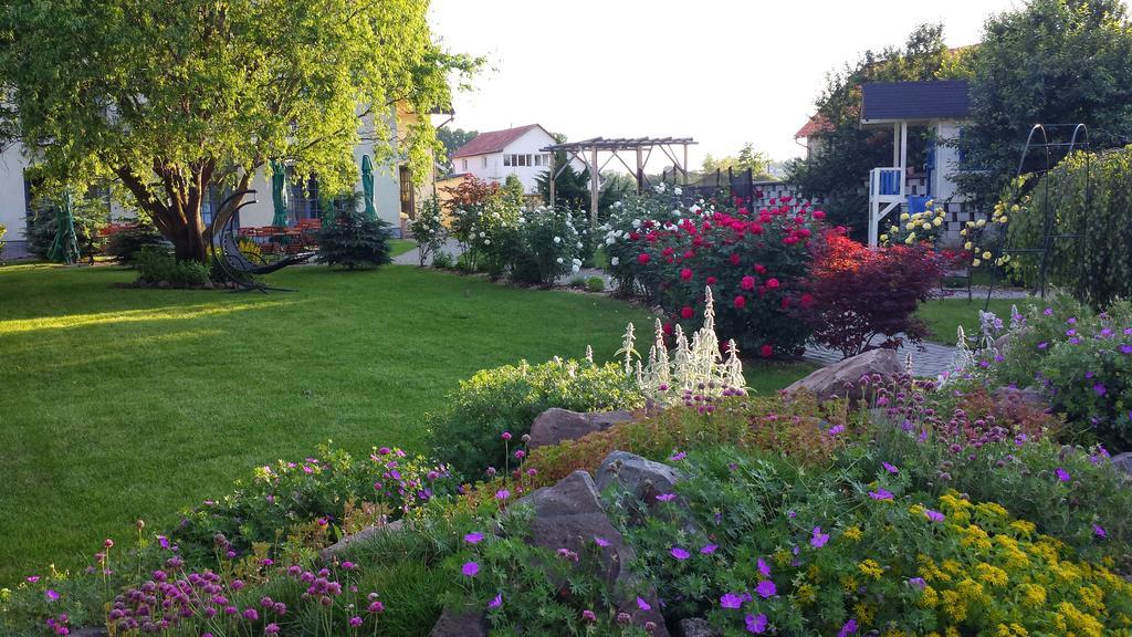 Villa Westfalia Guest House Tîrgu Secuiesc Eksteriør billede
