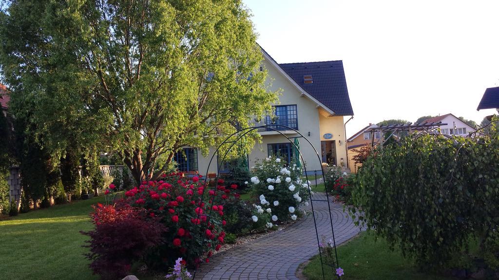 Villa Westfalia Guest House Tîrgu Secuiesc Eksteriør billede
