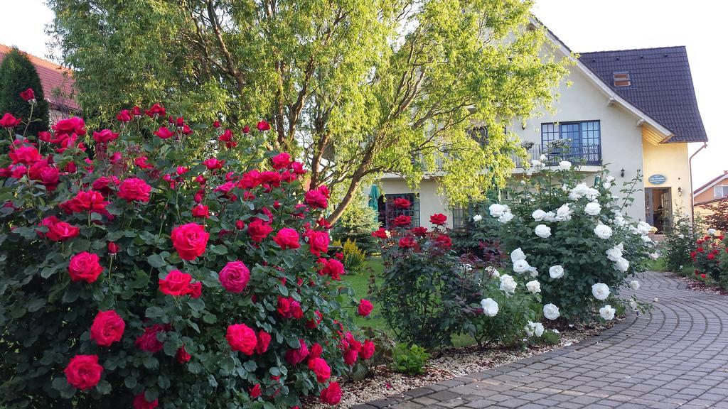 Villa Westfalia Guest House Tîrgu Secuiesc Eksteriør billede